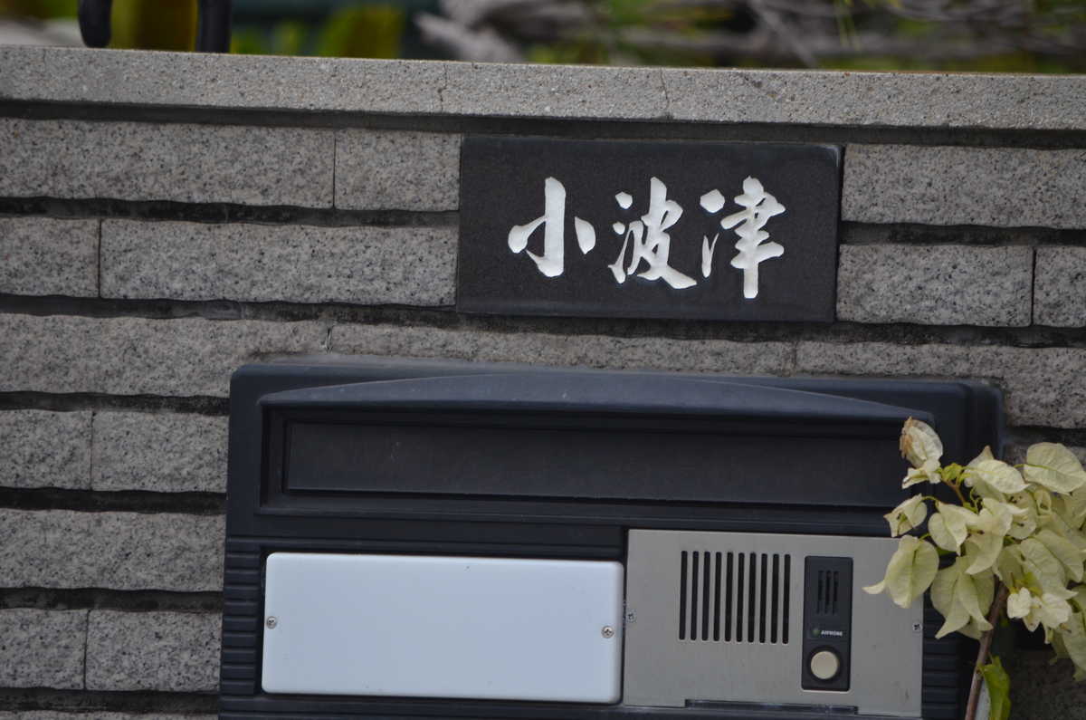 小波津