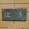 上原